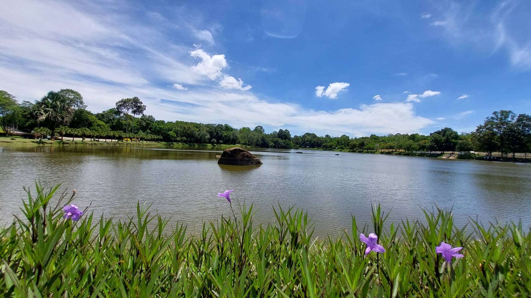 กรมพัฒนาที่ดิน ขอเชิญร่วมงาน “วันสถาปนาศูนย์ศึกษาการพัฒนาเขาหินซ้อนฯ ครบรอบ 46 ปี” ต้นแบบการเรียนรู้ สู่การพัฒนาที่ยั่งยืน 4 04