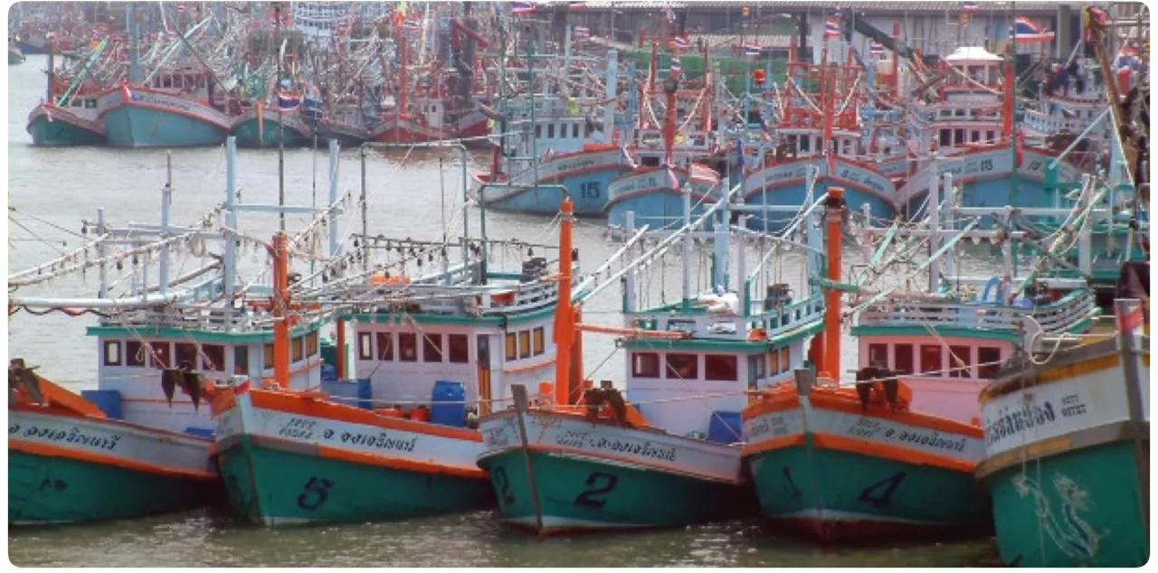 คณะรัฐมนตรีอนุมัติสินเชื่อดอกเบี้ยต่ำเสริมสภาพคล่องผู้ประกอบการประมง(โครงการฯ) ระยะที่ 3 กรอบวงเงิน 630.64 ล้านบาท 2 04C39058 2EF5 4AAD 88BF 48413D61725F.jpeg แก้