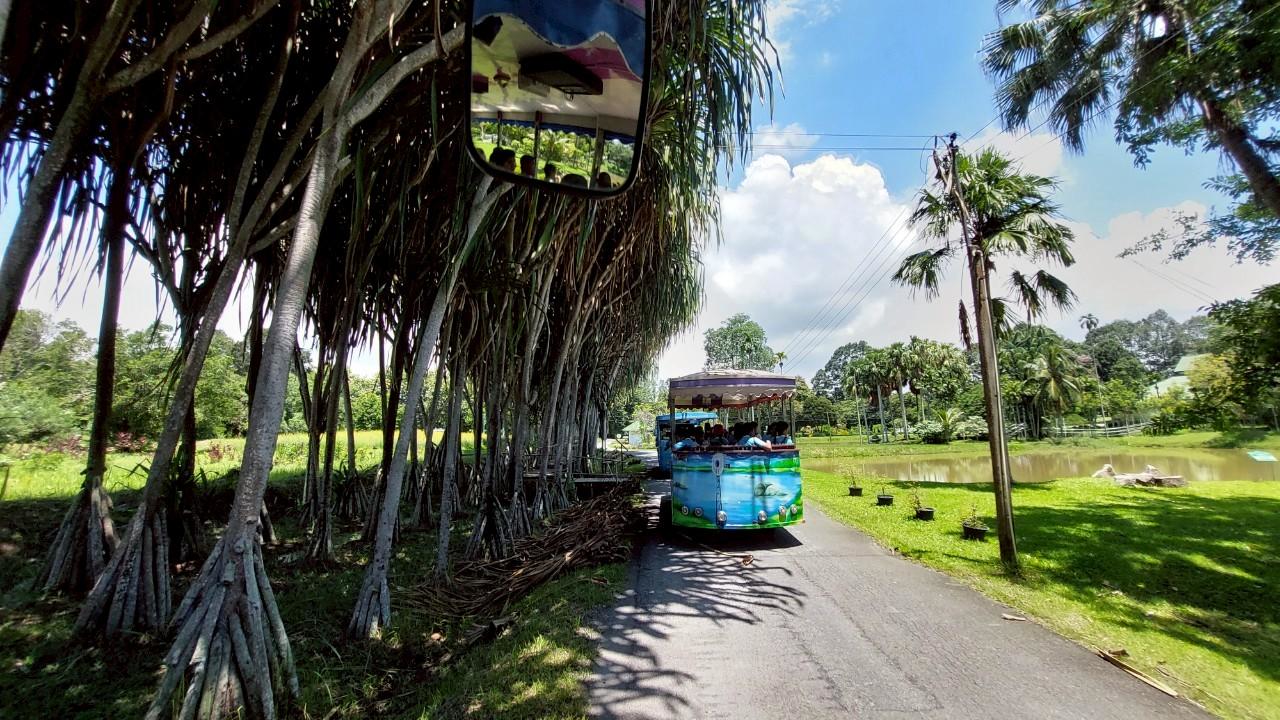 กรมพัฒนาที่ดิน ขอเชิญร่วมงาน “วันสถาปนาศูนย์ศึกษาการพัฒนาเขาหินซ้อนฯ ครบรอบ 46 ปี” ต้นแบบการเรียนรู้ สู่การพัฒนาที่ยั่งยืน 6 06
