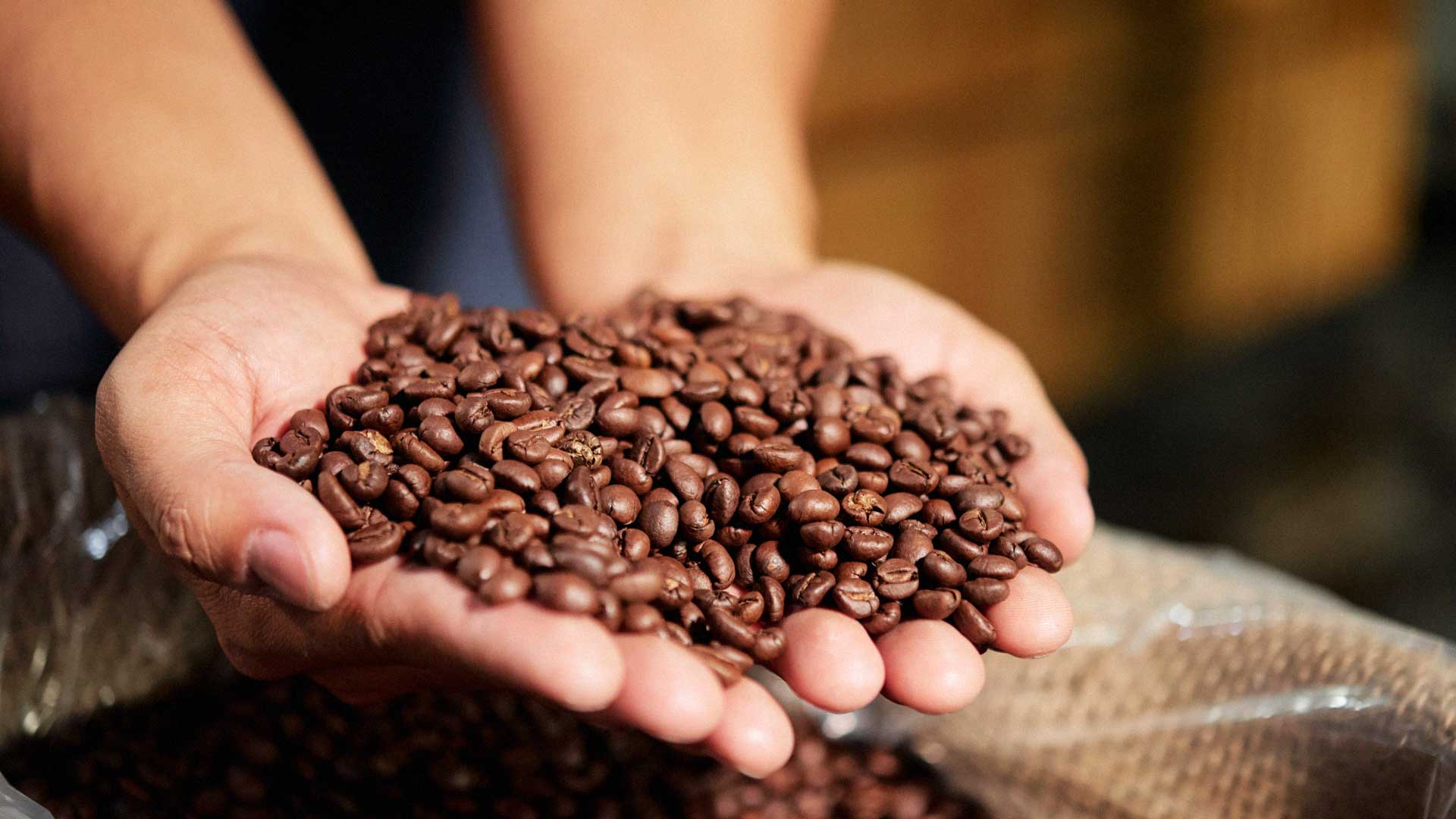 11 เทพกาแฟ2