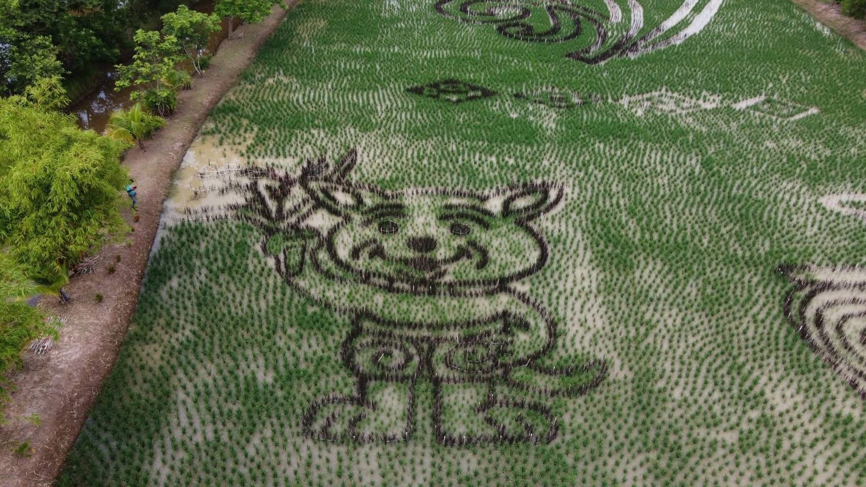 แปลงนาศิลปะเฉลิมพระเกียรติฯ เนื่องในโอกาสวันคล้ายวันประสูติ ครบ 43 ปี 8 ตุลาคม 2568 พระเจ้าวรวงศ์เธอ พระองค์เจ้าสิริภาจุฑาภรณ์ 2 1239391