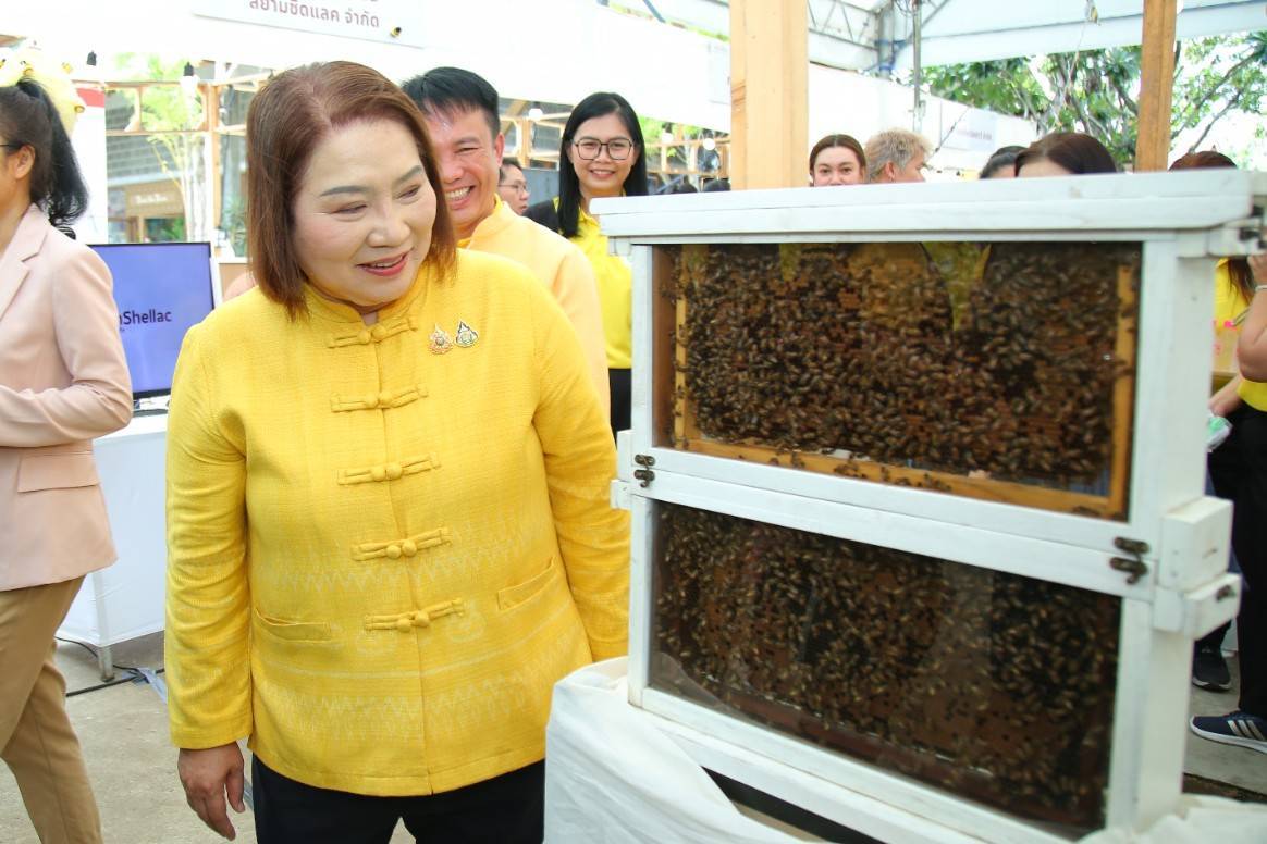 เกษตรฯ ประกาศตนเป็นนักอนุรักษ์สิ่งแวดล้อม ด้วยการใช้แมลงผสมเกสร เพื่อสร้างความมั่นคงทางอาหาร 7 1247581