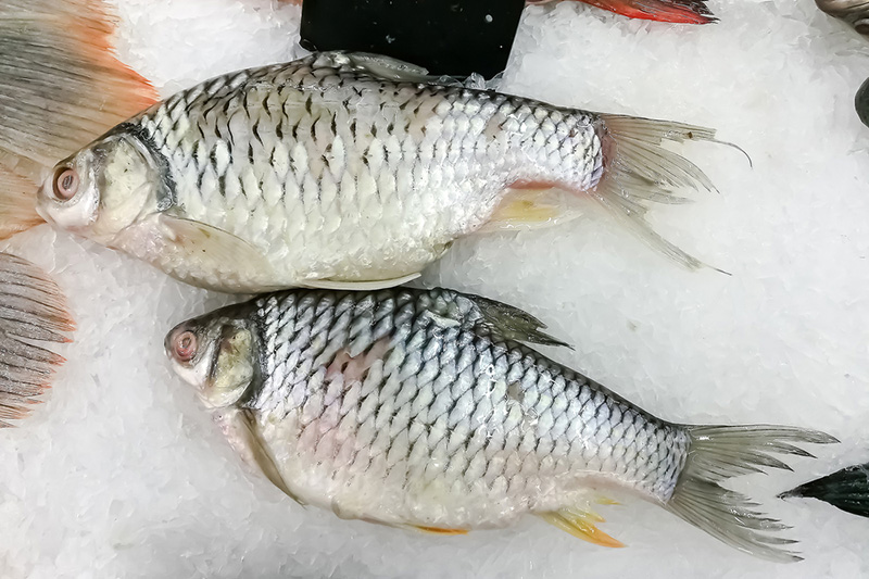 211b10ae d085 4d2f 8443 e31ccb65072f