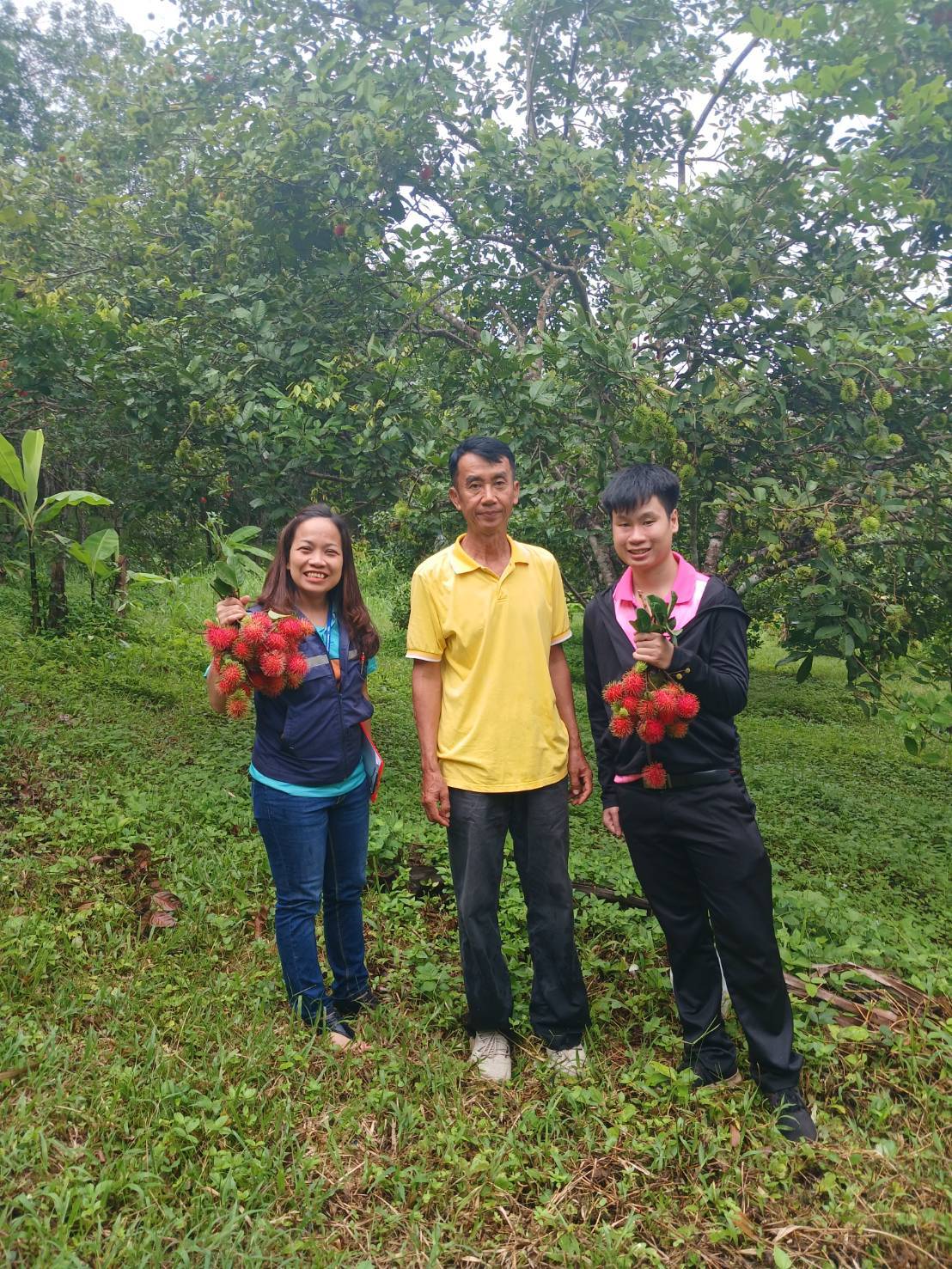 “แปลงใหญ่เงาะคุณภาพตำบลนางิ้ว” จ.หนองคาย ผลิตเงาะคุณภาพ สร้างรายได้กว่า 8.5 ล้านบาท/ปี เชื่อมโยงท่องเที่ยวเชิงเกษตรครบวงจร 4 323586 0