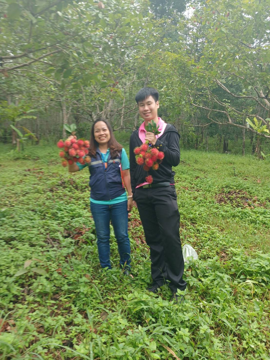 “แปลงใหญ่เงาะคุณภาพตำบลนางิ้ว” จ.หนองคาย ผลิตเงาะคุณภาพ สร้างรายได้กว่า 8.5 ล้านบาท/ปี เชื่อมโยงท่องเที่ยวเชิงเกษตรครบวงจร 3 323587 0