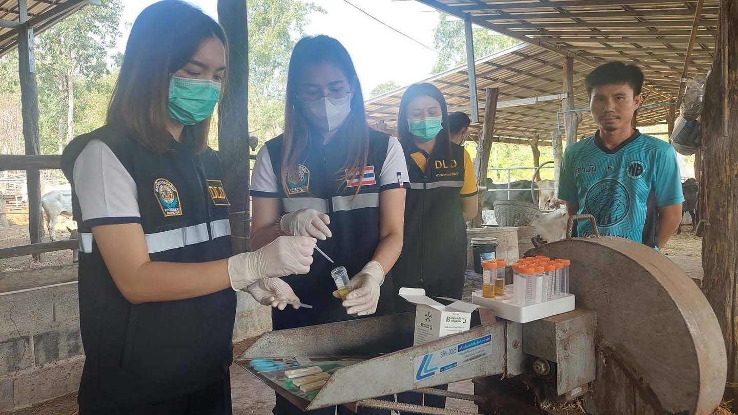 “อธิบดีกรมปศุสัตว์“ลั่น จุดยืนห้ามใช้สารเร่งเนื้อแดงทุกขั้นตอนผลิตหลังมีกระแสเปิดทางนำเข้าหมูสหรัฐฯ ย้ำ เป็นอันตรายต่อผู้บริโภค ยังเชื่อ รบ.จะคำนึงถึงสุขภาพของคนไทยเป็นหลัก 6 428133