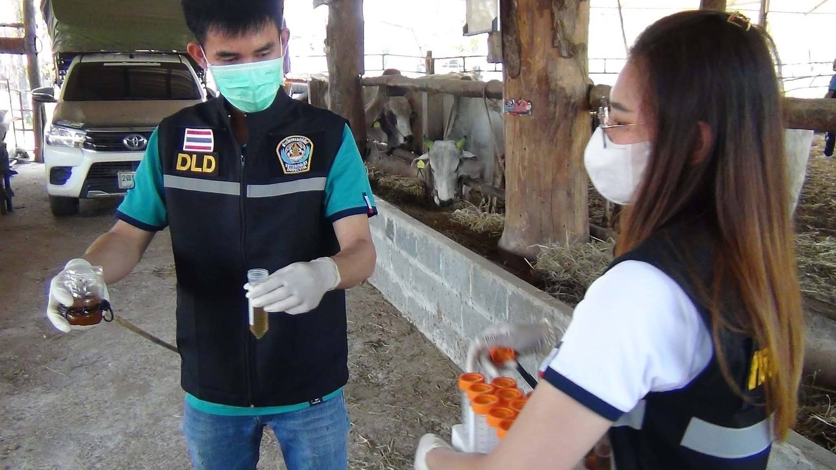 “อธิบดีกรมปศุสัตว์“ลั่น จุดยืนห้ามใช้สารเร่งเนื้อแดงทุกขั้นตอนผลิตหลังมีกระแสเปิดทางนำเข้าหมูสหรัฐฯ ย้ำ เป็นอันตรายต่อผู้บริโภค ยังเชื่อ รบ.จะคำนึงถึงสุขภาพของคนไทยเป็นหลัก 7 428134