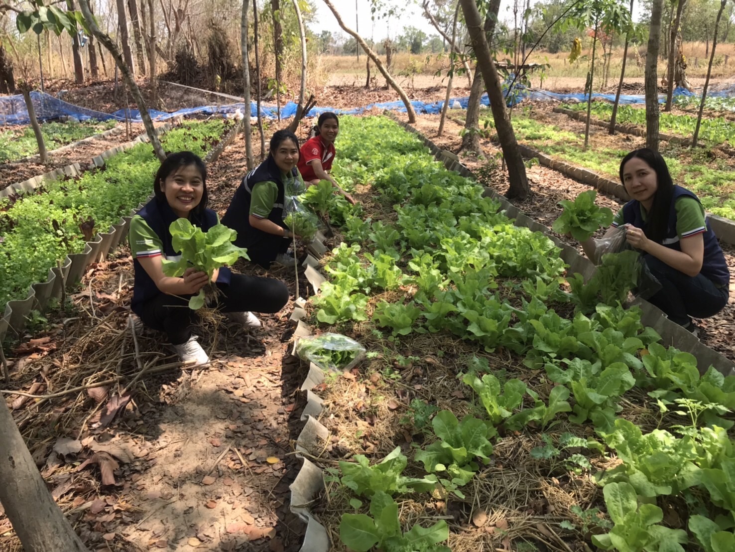 สศท.11 ชวนท่องเที่ยวเชิงเกษตร “สวนนา ตาบัว ออร์แกนิคฟาร์ม” จ.อุบลราชธานีสร้างมูลค่าเพิ่มเชื่อมโยงการท่องเที่ยวอย่างยั่งยืน 8 4 0