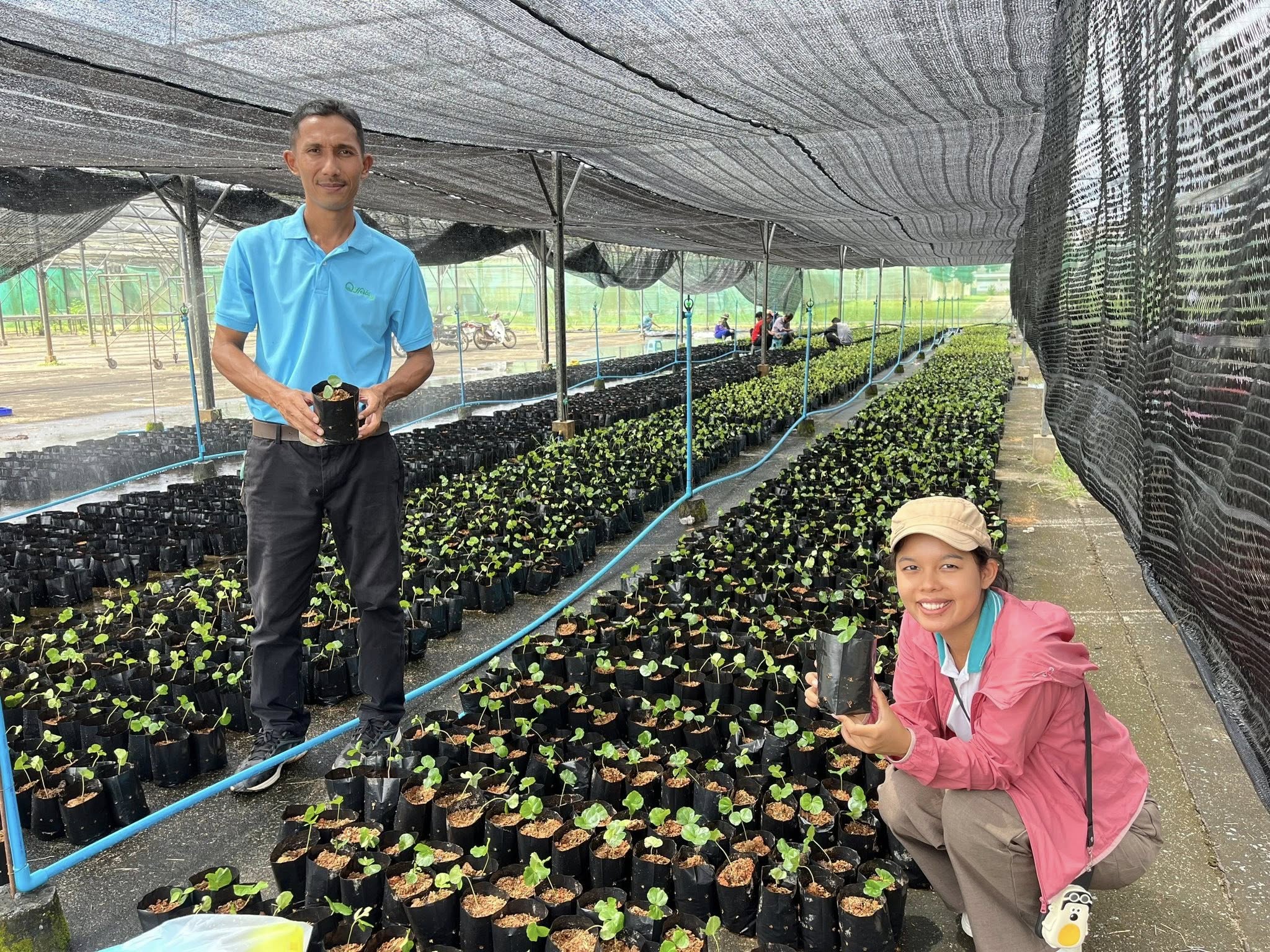 กรมส่งเสริมการเกษตร เดินหน้าโครงการผลิตและขยายพืชพันธุ์ดี เสริมศักยภาพเจ้าหน้าที่ ยกระดับความมั่นคงอาหาร 5 528224058 1057668426515482 6055930283675838423 n