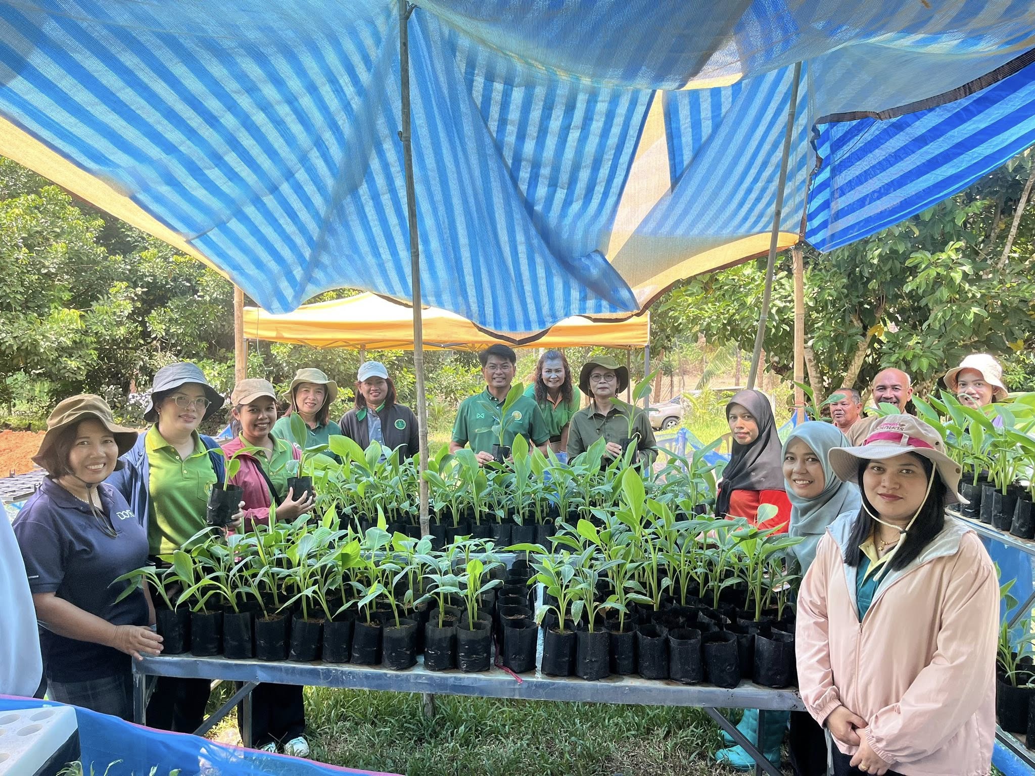กรมส่งเสริมการเกษตร เดินหน้าโครงการผลิตและขยายพืชพันธุ์ดี เสริมศักยภาพเจ้าหน้าที่ ยกระดับความมั่นคงอาหาร 6 528357334 1058453766436948 4606851867090009360 n