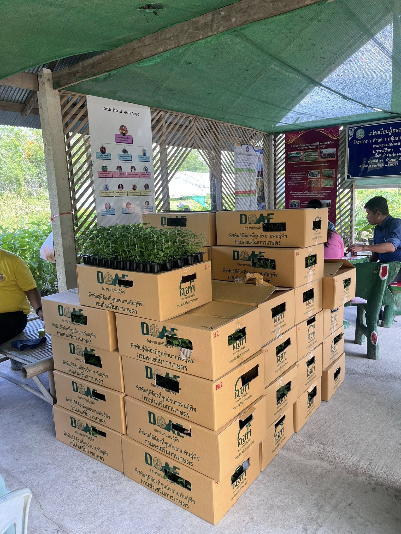 กรมส่งเสริมการเกษตร เดินหน้าโครงการผลิตและขยายพืชพันธุ์ดี เสริมศักยภาพเจ้าหน้าที่ ยกระดับความมั่นคงอาหาร 7 528387188 1058501359765522 8519812211221128032 n