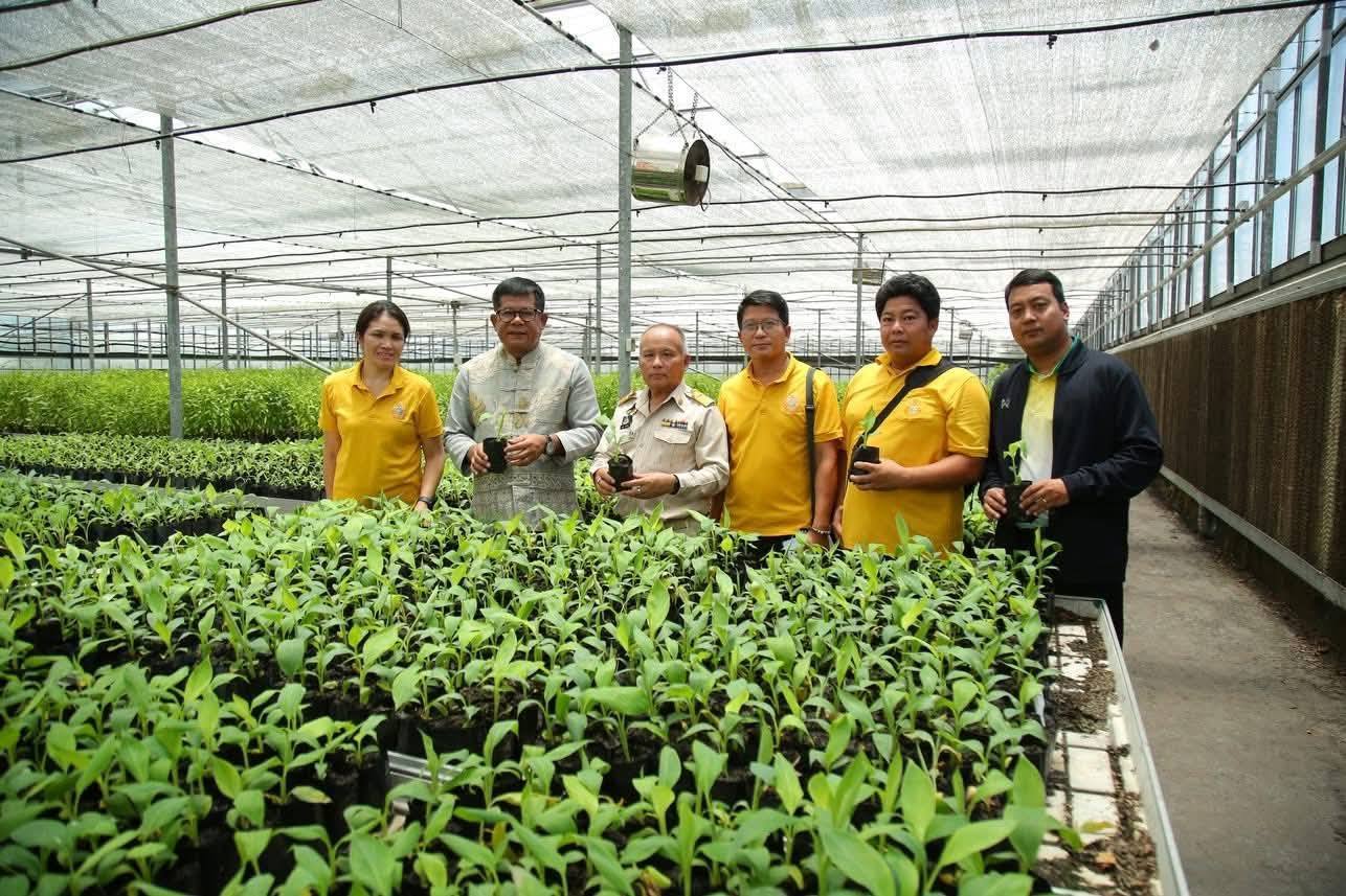 กรมส่งเสริมการเกษตร เดินหน้าโครงการผลิตและขยายพืชพันธุ์ดี เสริมศักยภาพเจ้าหน้าที่ ยกระดับความมั่นคงอาหาร 8 528635617 1057822169833441 6679440962770366562 n