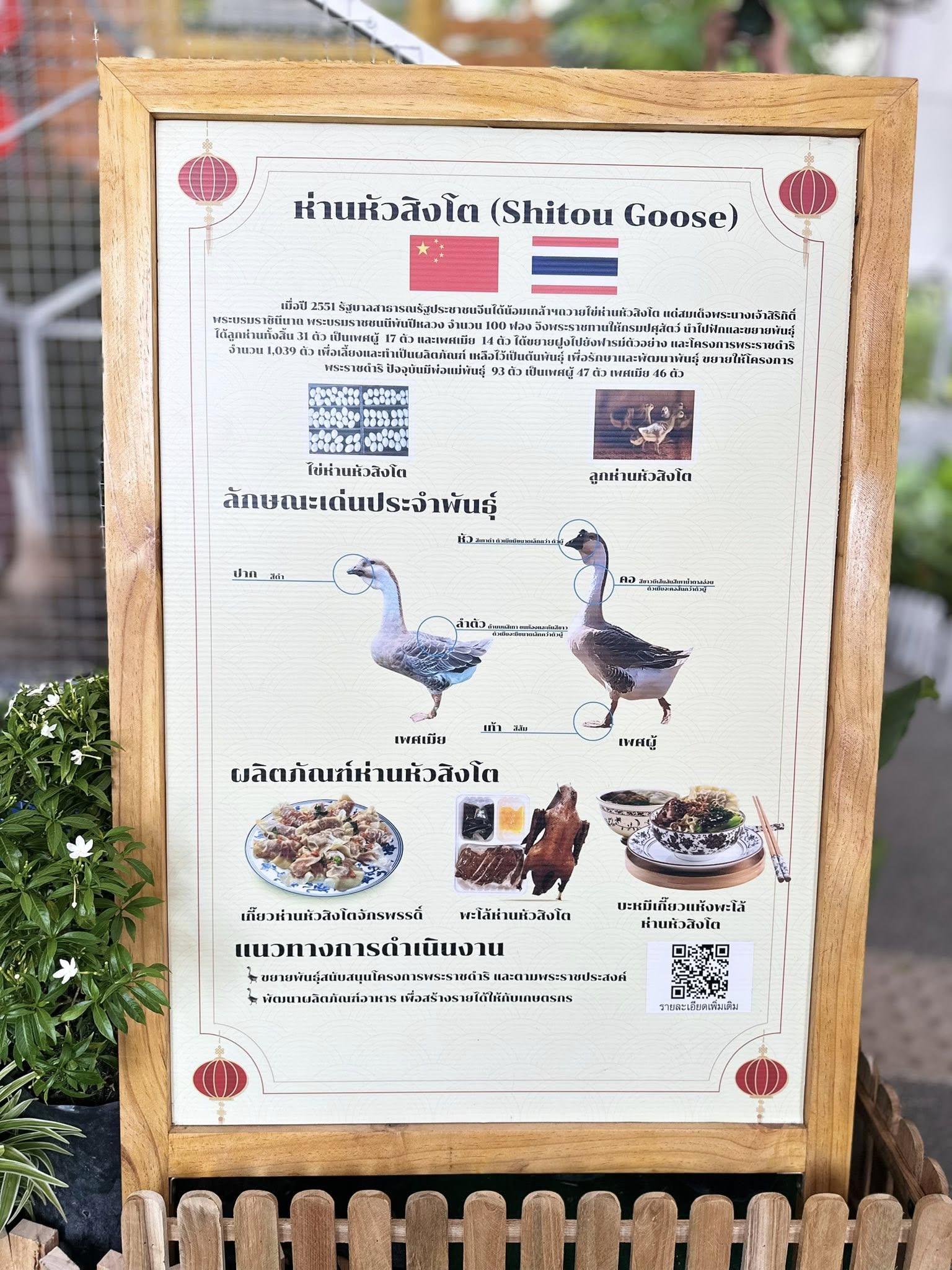 529861073 1558202145500162 4693397701465668921 n