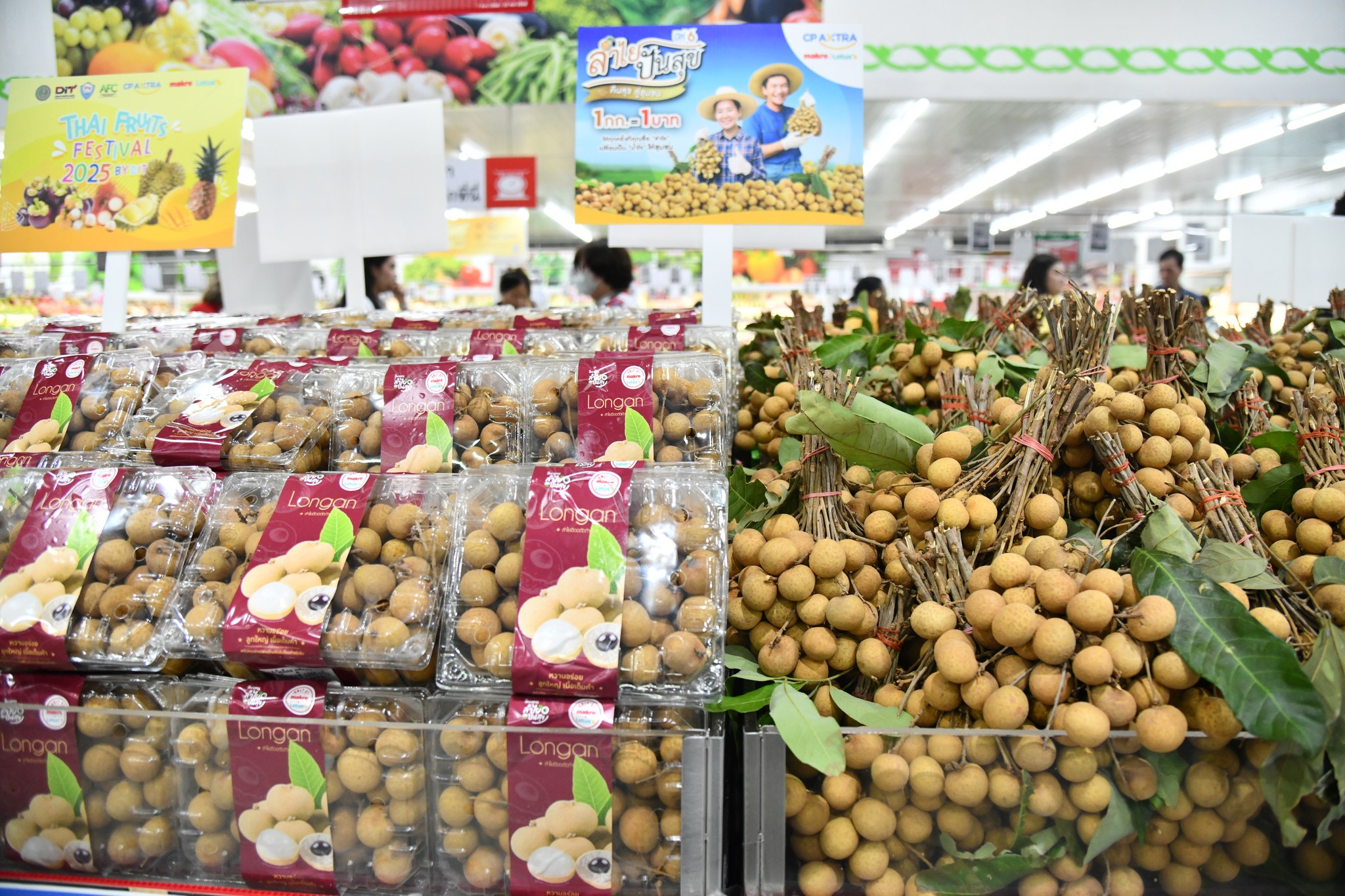 530040383 1186658163491633 56271500023208045 n