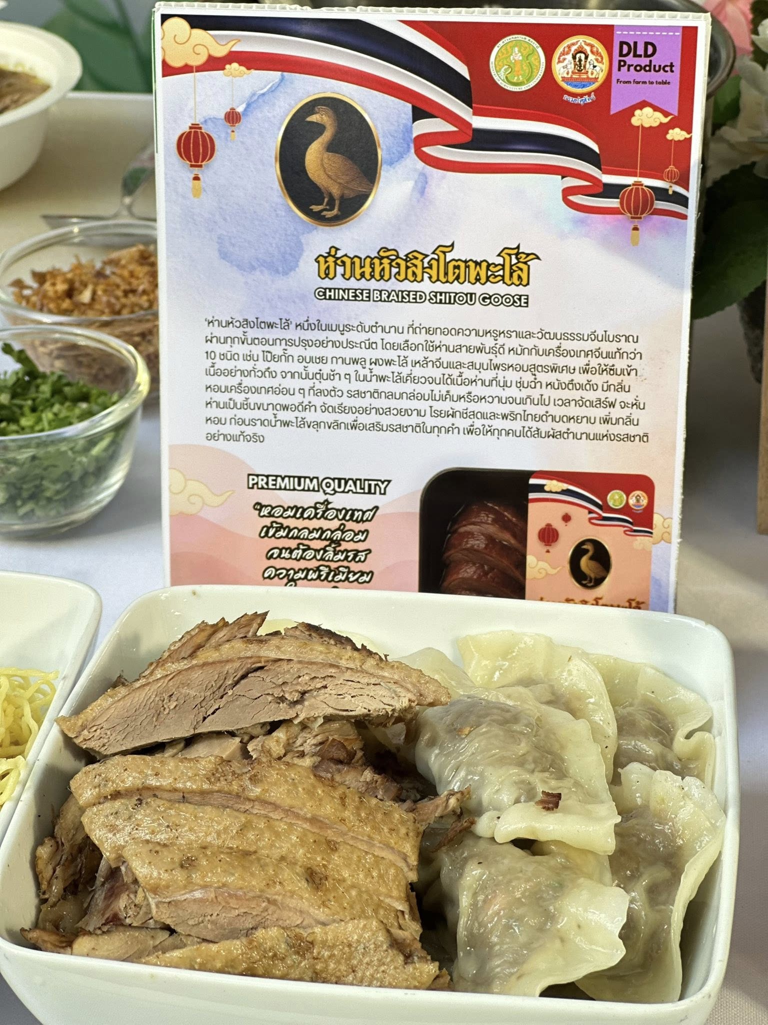 530348156 1558201222166921 7415444418652752111 n