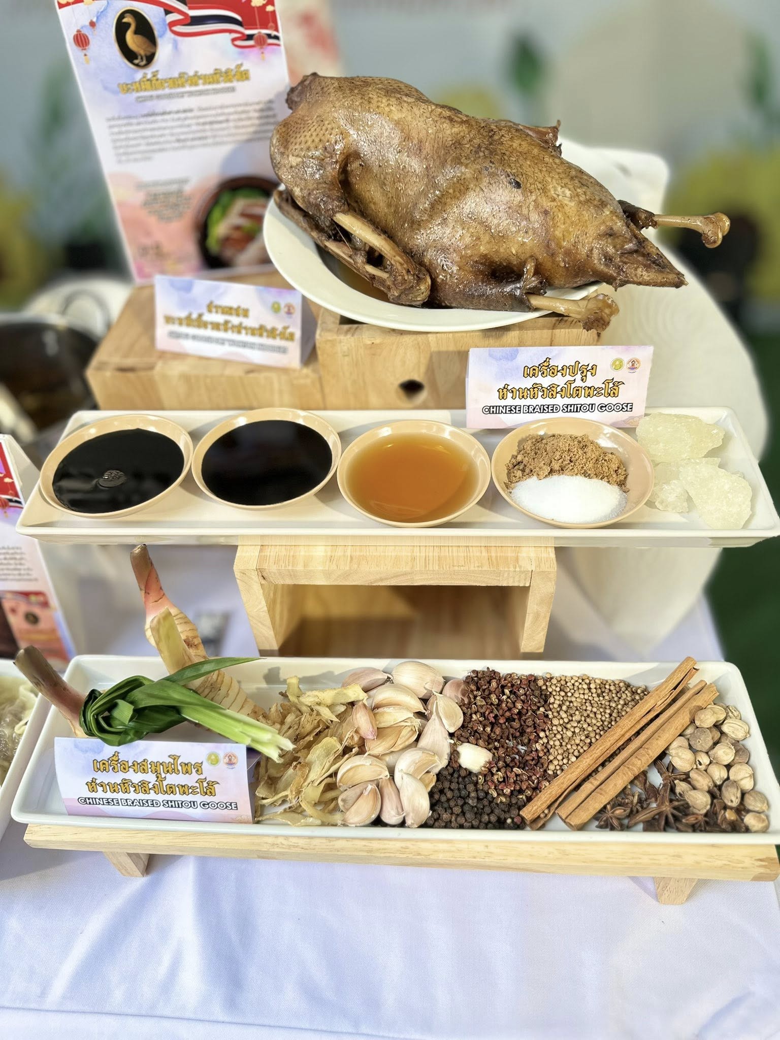 530653538 1558201228833587 1415742067749258708 n