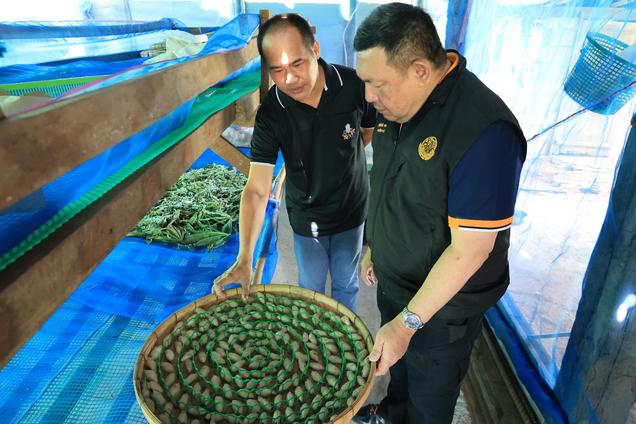 เลขาธิการ ส.ป.ก. พร้อมคณะลงพื้นที่ตรวจเยี่ยมวิสาหกิจชุมชนกลุ่มเกษตรกรโครงการปฏิรูปที่ดินพื้นที่เอกชน ตำบลพระธาตุขิงแกง อำเภอจุน จังหวัดพะเยา 7 531919333 1081699777452670 6993576802065713567 n