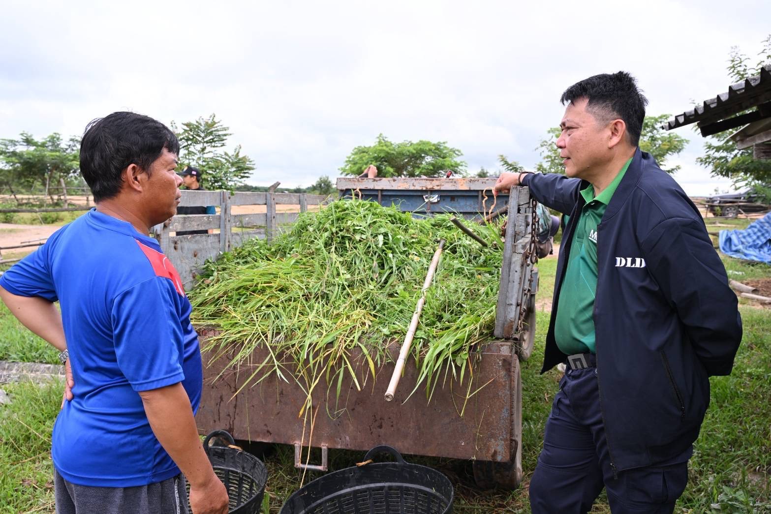 รองอธิบดีฯ 532792144 1069437815299145 8869148321263041314 n