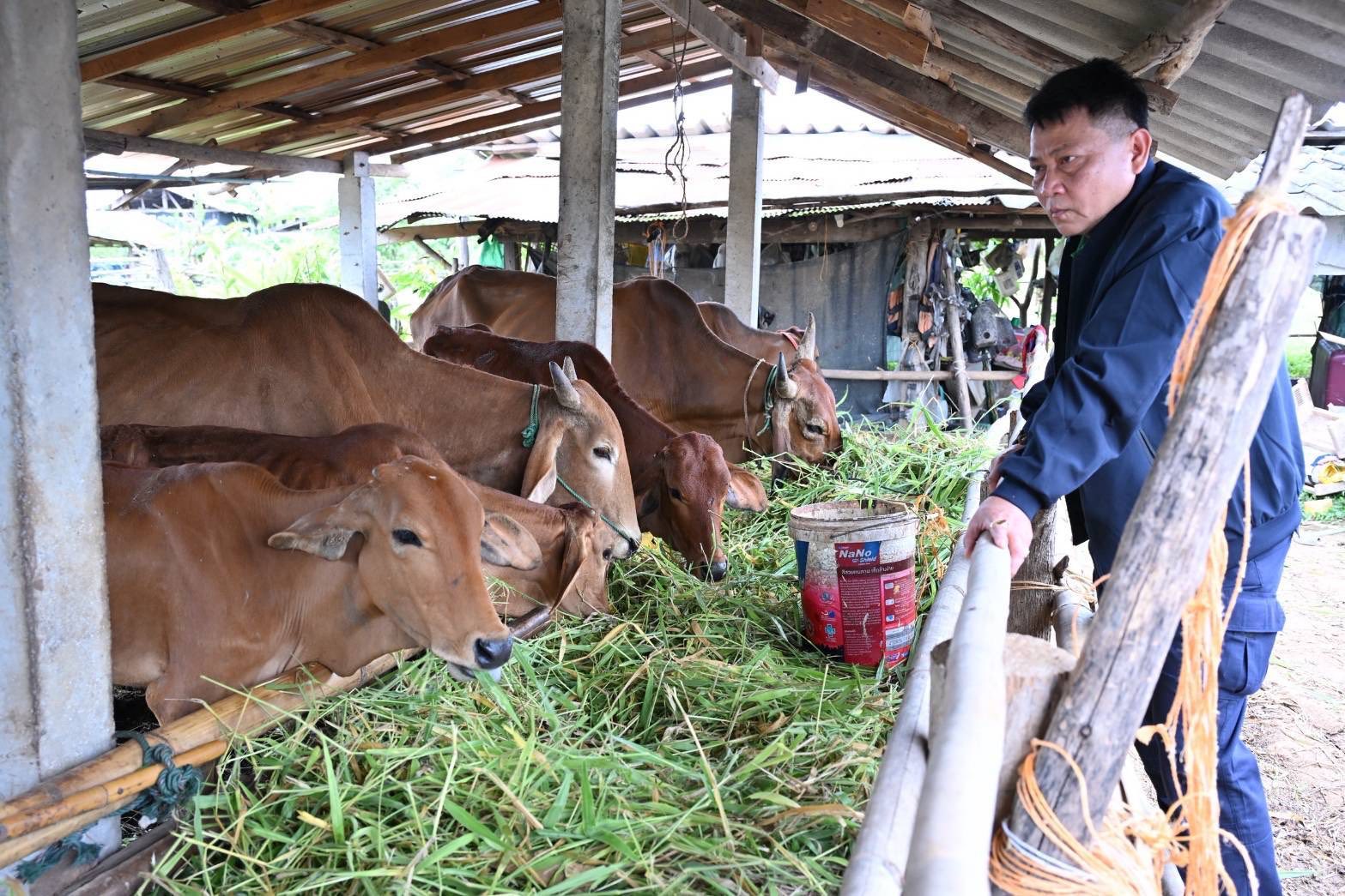 รองอธิบดีฯ 5335