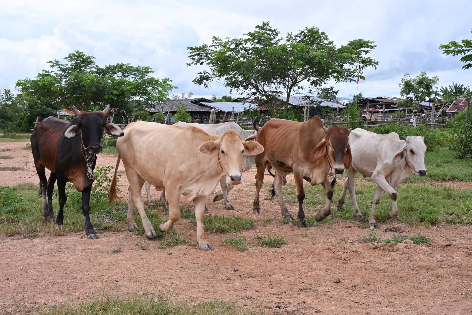 รองอธิบดีฯ 534266391 1069437915299135 8824231373821915534 n