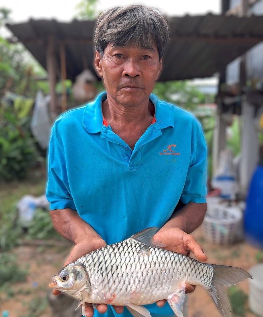 กรมประมงแนะสูตรผลิตอาหารสัตว์น้ำอินทรีย์จากวัตถุดิบท้องถิ่นหนุนเกษตรกรลดต้นทุนการเลี้ยง สัตว์น้ำโตไว ปลอดภัยจากสารเคมี 6 535160