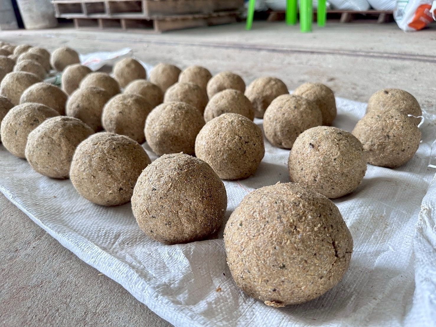 กรมประมงแนะสูตรผลิตอาหารสัตว์น้ำอินทรีย์จากวัตถุดิบท้องถิ่นหนุนเกษตรกรลดต้นทุนการเลี้ยง สัตว์น้ำโตไว ปลอดภัยจากสารเคมี 8 535162