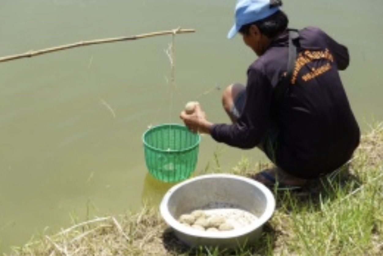 กรมประมงแนะสูตรผลิตอาหารสัตว์น้ำอินทรีย์จากวัตถุดิบท้องถิ่นหนุนเกษตรกรลดต้นทุนการเลี้ยง สัตว์น้ำโตไว ปลอดภัยจากสารเคมี 10 535188