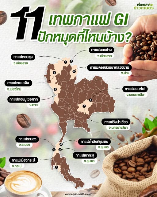 535979218 1566174094702967 8854884409262281813 n