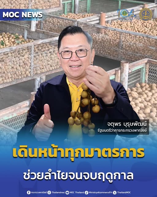 536271148 1192310502926399 1424869106071962323 n