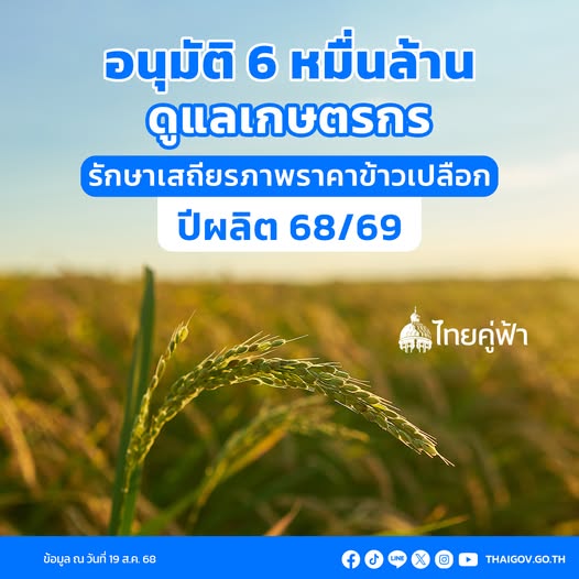 ครม.อนุมัติ 6 หมื่นล้าน ดูแลเกษตรกร รักษาเสถียรภาพราคาข้าวเปลือก ปีผลิต 68/69 2 536272993 1195873032575426 8236886616983625034 n