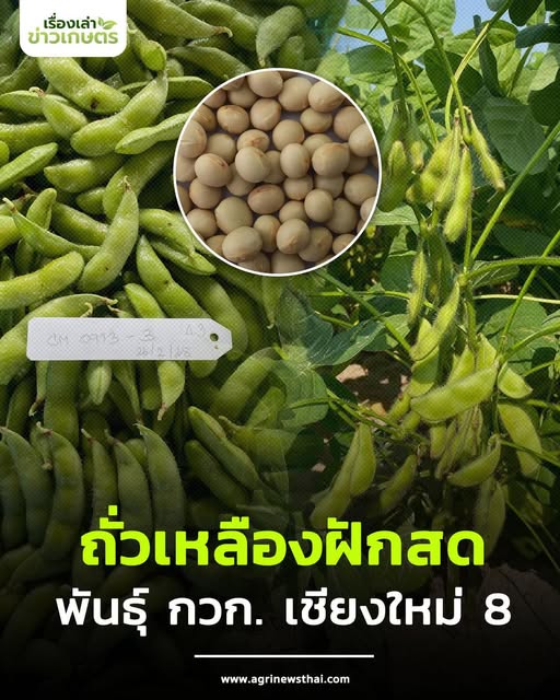 รู้จัก.. 539653400 1573118547341855 3418676472194658948 n