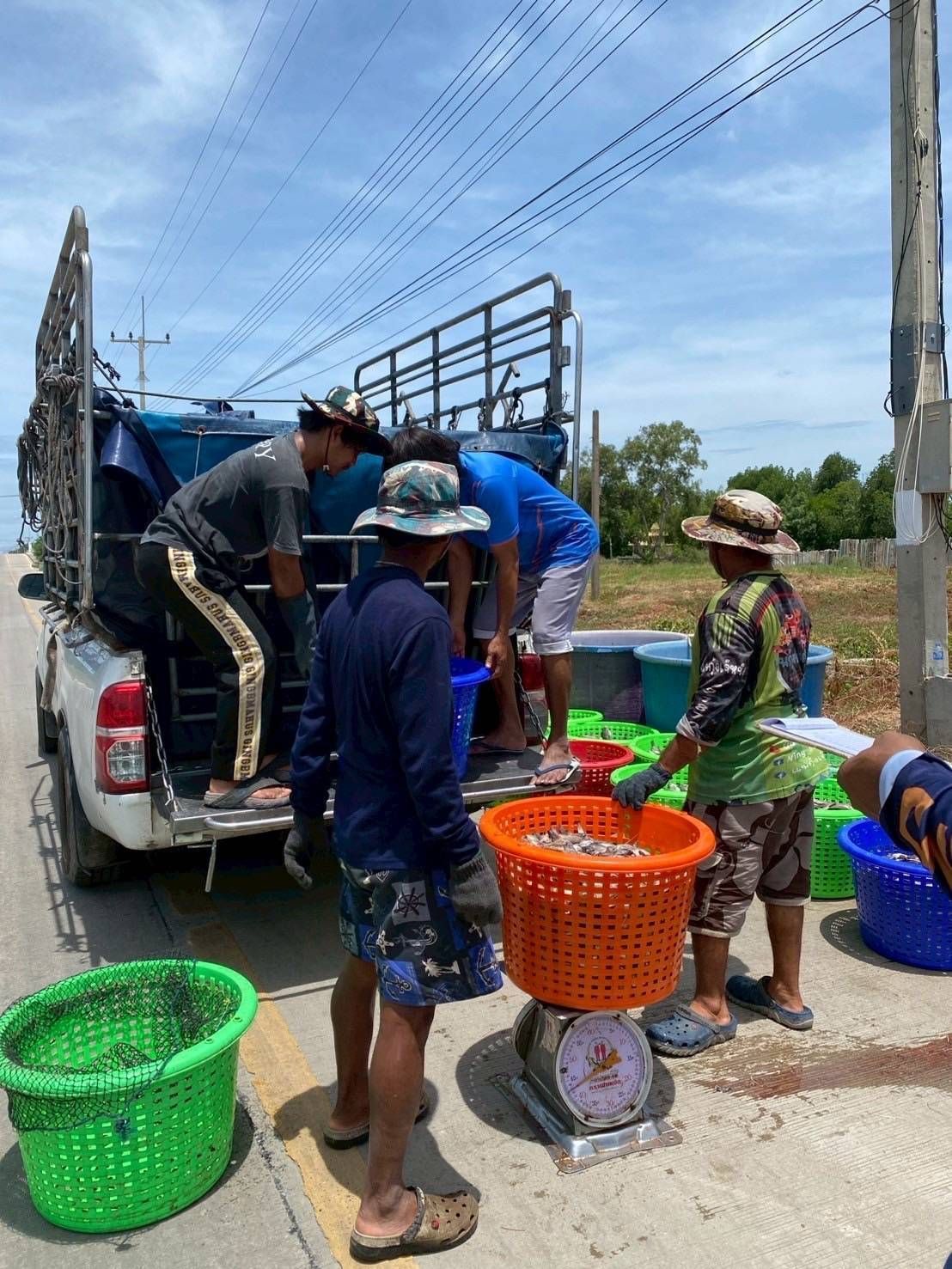 โฆษกกรมประมง เผย ยอดรับซื้อปลาหมอคางดำใกล้ 3 ล้านกิโลกรัมพร้อมขยายโควตารับซื้อเพิ่ม 554,000 กก. ในพื้นที่ 6 จังหวัด -กรุงเทพมหานครเริ่มเยียวยา บางขุนเทียน ทุ่งครุ 3 550850