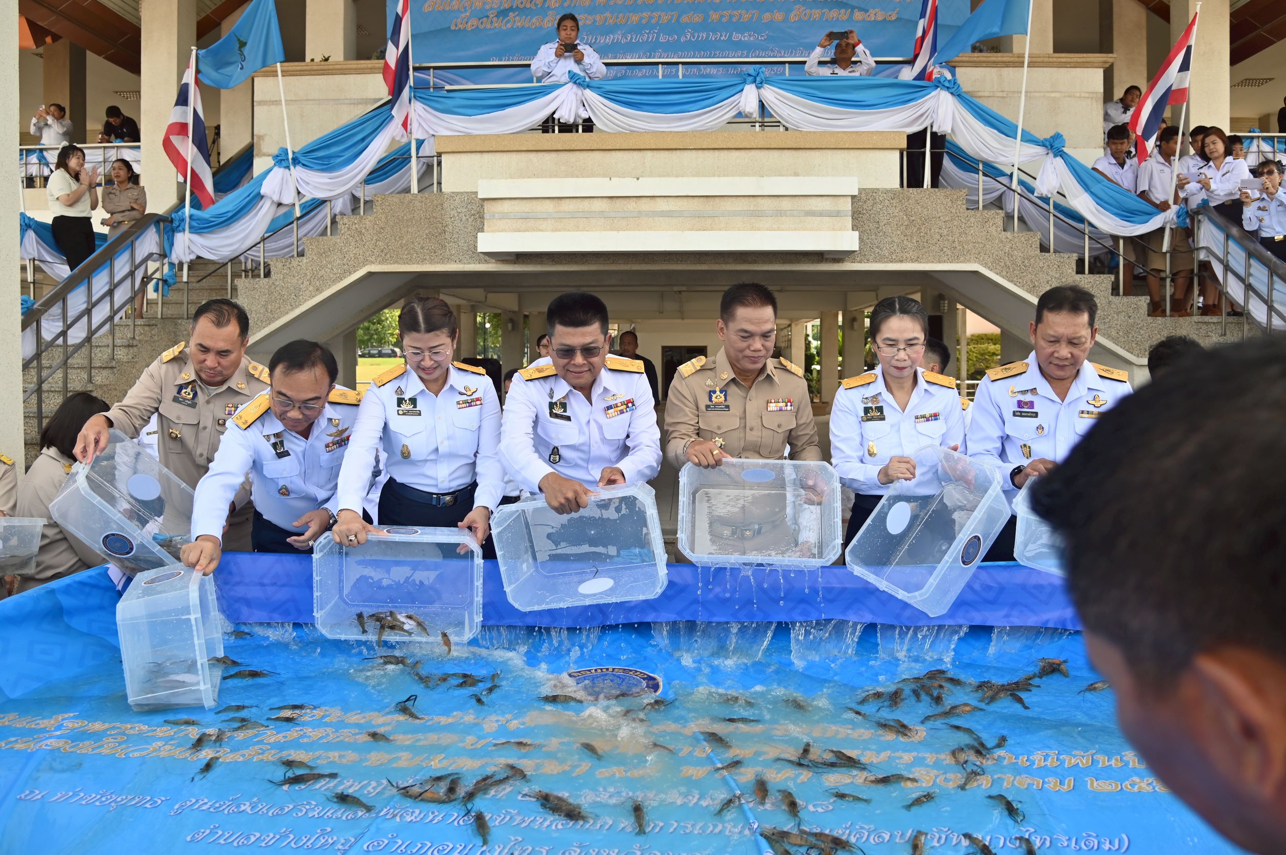 กรมประมงร่วมเฉลิมพระเกียรติ สมเด็จพระบรมราชชนนีพันปีหลวงเนื่องในโอกาสวันเฉลิมพระชนมพรรษา 93 พรรษาจัดพิธีปล่อยพันธุ์สัตว์น้ำ-กุ้งก้ามกรามคืนสู่แม่น้ำเจ้าพระยา รวมกว่า 1.32 ล้านตัว 5 557963