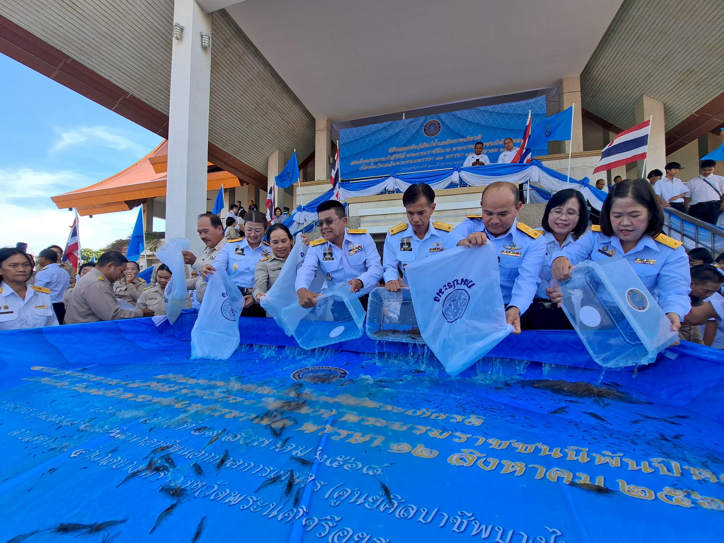 กรมประมงร่วมเฉลิมพระเกียรติ สมเด็จพระบรมราชชนนีพันปีหลวงเนื่องในโอกาสวันเฉลิมพระชนมพรรษา 93 พรรษาจัดพิธีปล่อยพันธุ์สัตว์น้ำ-กุ้งก้ามกรามคืนสู่แม่น้ำเจ้าพระยา รวมกว่า 1.32 ล้านตัว 7 557964