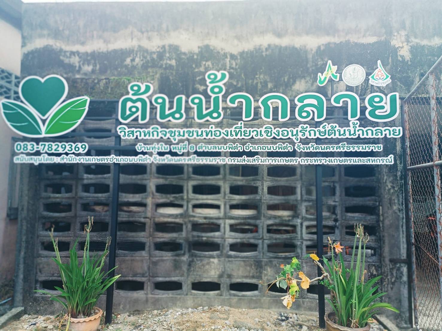 สศท.8 ชู ‘บ้านสวนครูแหม่ม’ จ.นครศรีฯ แหล่งเรียนรู้ท่องเที่ยวเกษตรอินทรีย์ แบบครบวงจร 11 64423 0