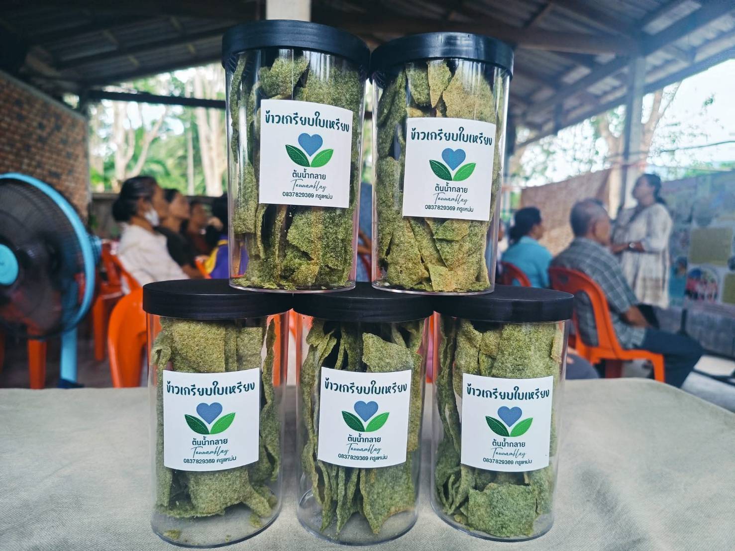 สศท.8 ชู ‘บ้านสวนครูแหม่ม’ จ.นครศรีฯ แหล่งเรียนรู้ท่องเที่ยวเกษตรอินทรีย์ แบบครบวงจร 10 64425 0