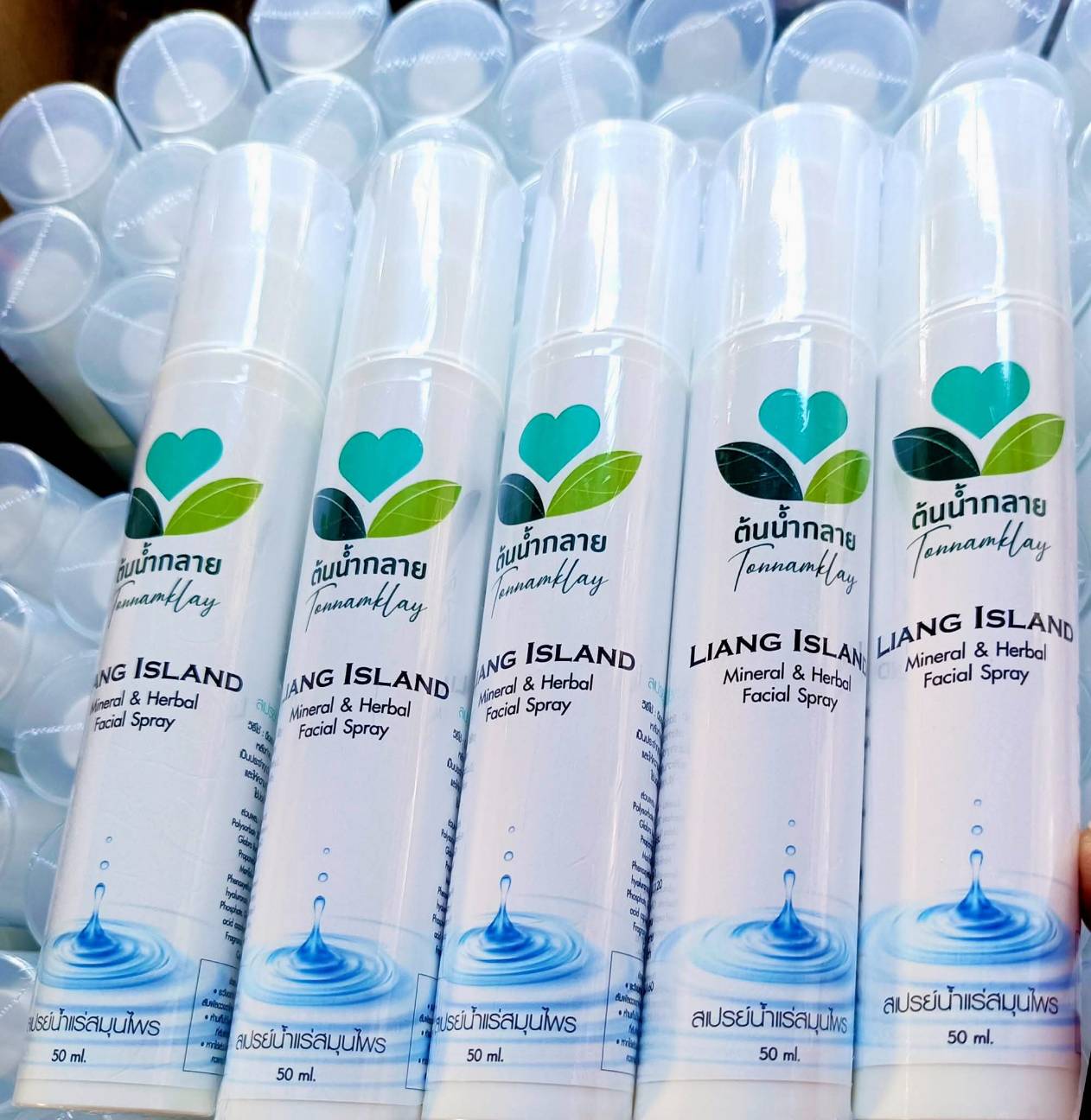 สศท.8 ชู ‘บ้านสวนครูแหม่ม’ จ.นครศรีฯ แหล่งเรียนรู้ท่องเที่ยวเกษตรอินทรีย์ แบบครบวงจร 9 64431 0