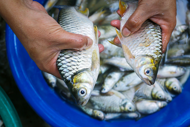 6f6203cc 2946 4397 823e cdbe9ce0fbeb