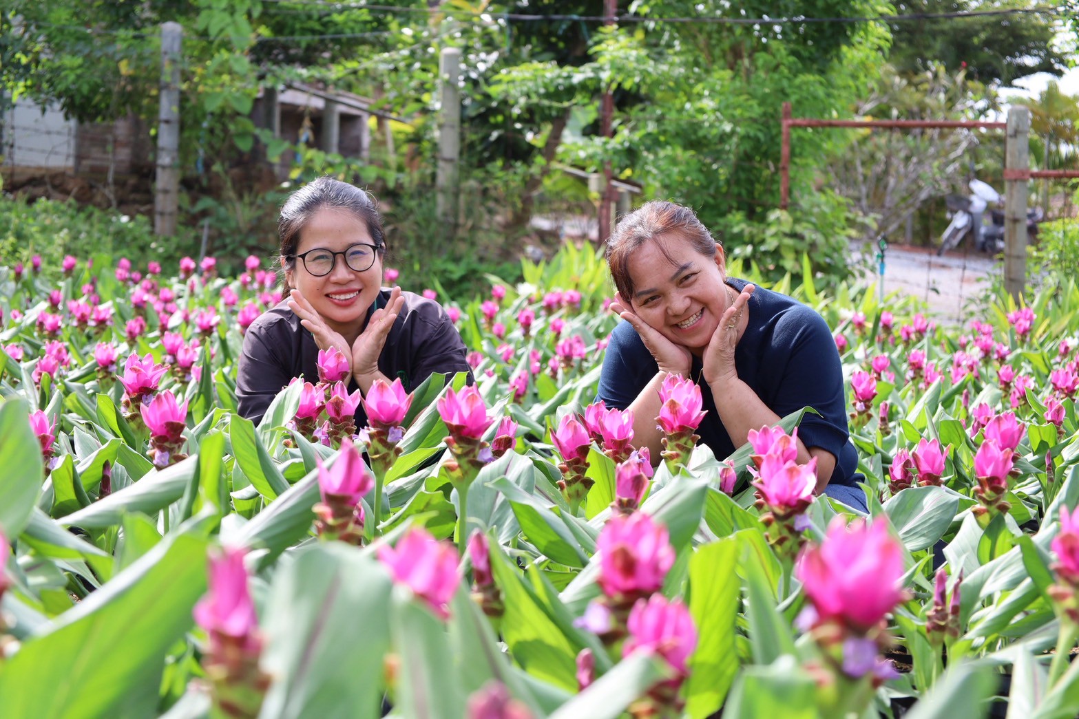 สิงหาพากันเที่ยว เปิดประสบการณ์สูดโอโซน เติมสุขให้เต็มปอด สัมผัสวิถีเกษตรอินทรีย์กลางขุนเขา ที่ อ.เทพสถิต จ.ชัยภูมิ 6 705768