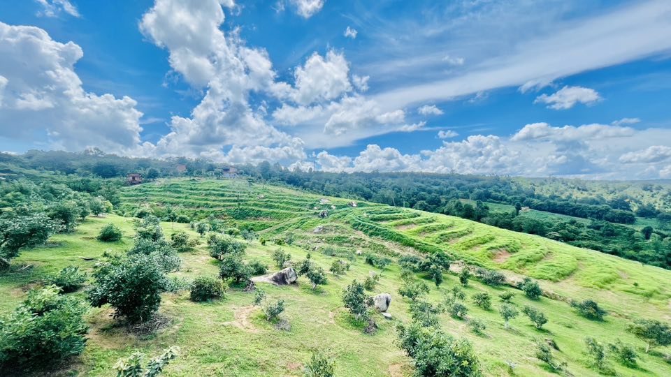 “โรงเรียนเกษตรกรอะโวคาโด” ต้นแบบชุมชนคาร์บอนต่ำ พลิกชีวิตจากไร่มันสู่เกษตรรู้จริง และแหล่งท่องเที่ยวเชิงเกษตรในอำเภอเทพสถิต 6 705809