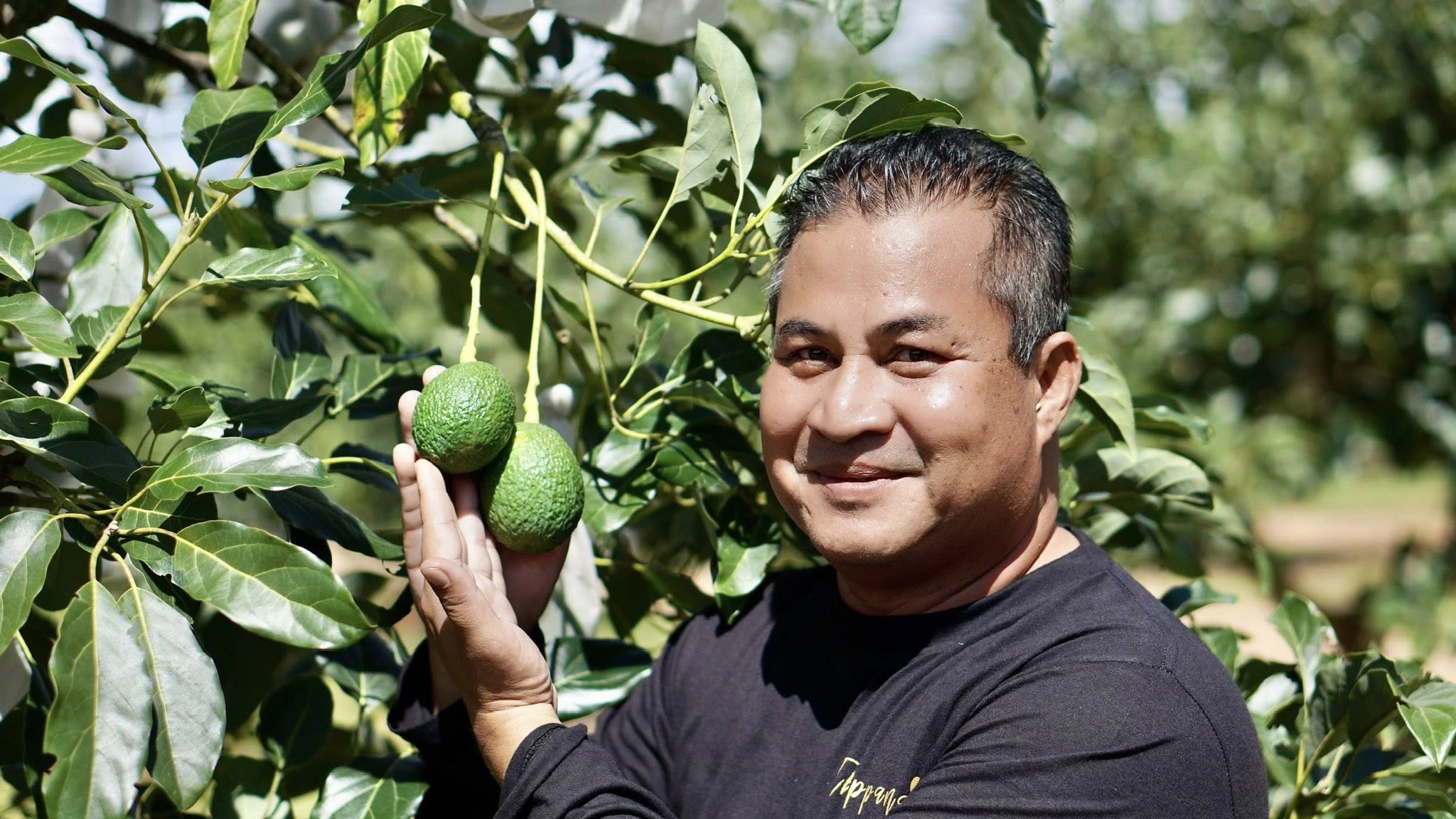 “โรงเรียนเกษตรกรอะโวคาโด” ต้นแบบชุมชนคาร์บอนต่ำ พลิกชีวิตจากไร่มันสู่เกษตรรู้จริง และแหล่งท่องเที่ยวเชิงเกษตรในอำเภอเทพสถิต 4 705811