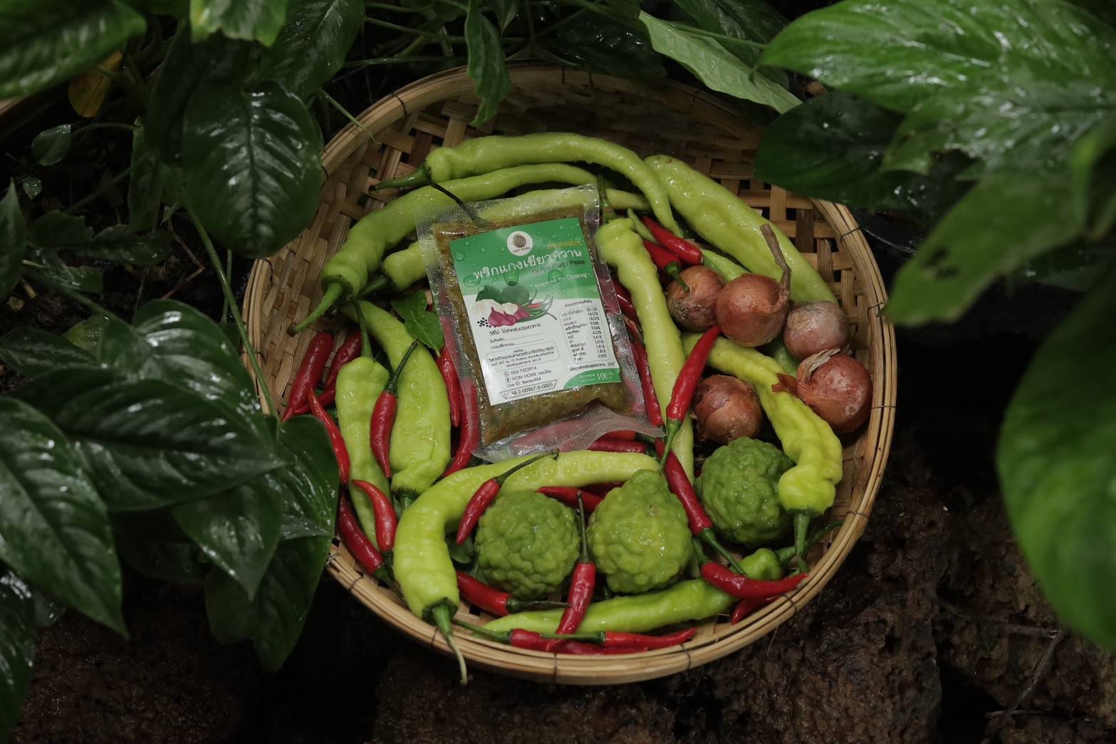 สศท.11 ชวนท่องเที่ยวเชิงเกษตร “สวนนา ตาบัว ออร์แกนิคฟาร์ม” จ.อุบลราชธานีสร้างมูลค่าเพิ่มเชื่อมโยงการท่องเที่ยวอย่างยั่งยืน 10 7 0