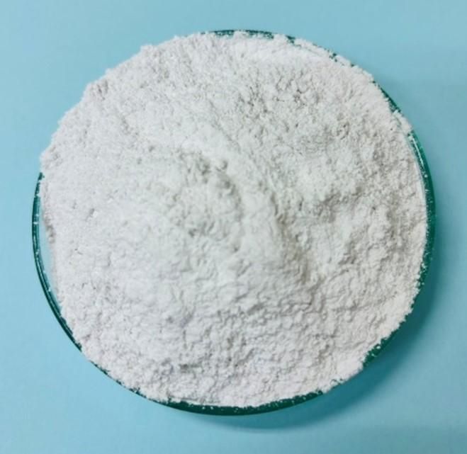 ชีวภัณฑ์ BS-DOA 20W16 ลดสารเคมีในแปลงพริก เสริมความมั่นใจให้เกษตรกรไทย 5 911927