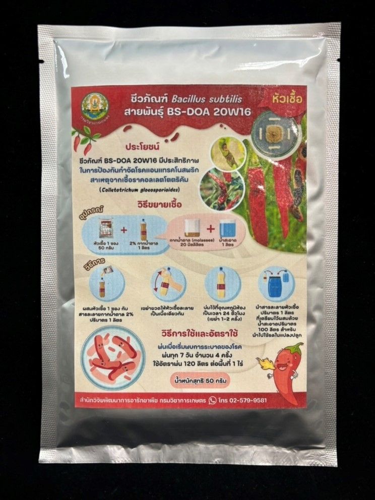 ชีวภัณฑ์ BS-DOA 20W16 ลดสารเคมีในแปลงพริก เสริมความมั่นใจให้เกษตรกรไทย 6 911928
