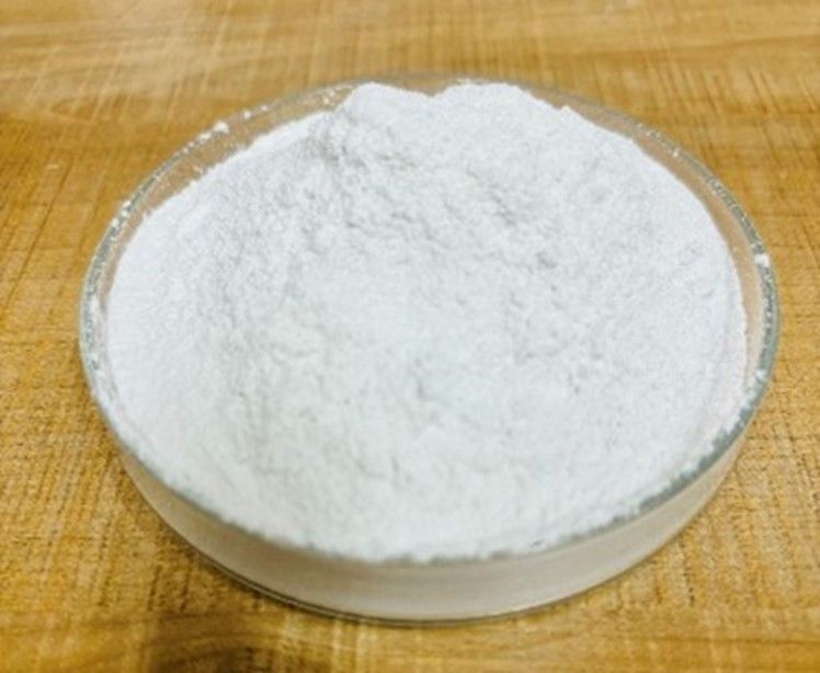 ชีวภัณฑ์ Bacillus subtilis สายพันธุ์ BS-DOA 19W32 ทางเลือกใหม่ควบคุมโรครากเน่าในผักสลัดไฮโดรโปนิกส์ 9 916109