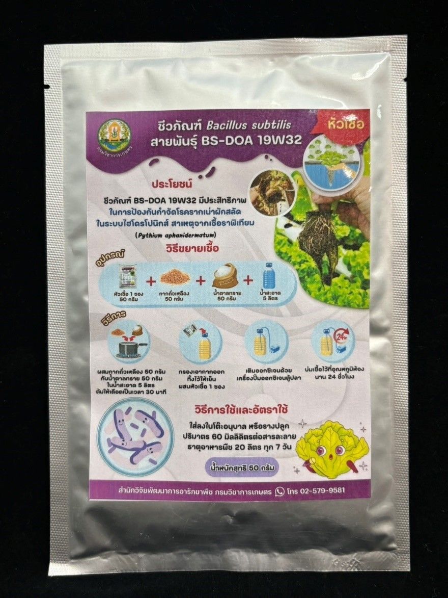 ชีวภัณฑ์ Bacillus subtilis สายพันธุ์ BS-DOA 19W32 ทางเลือกใหม่ควบคุมโรครากเน่าในผักสลัดไฮโดรโปนิกส์ 10 916110