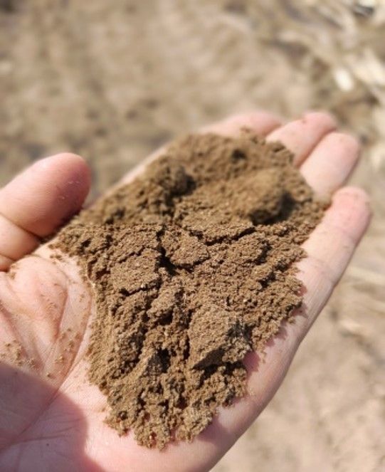 ยกระดับผลผลิตอ้อยในพื้นที่ คทช. ด้วยเทคโนโลยีจากกรมวิชาการเกษตร 6 923057