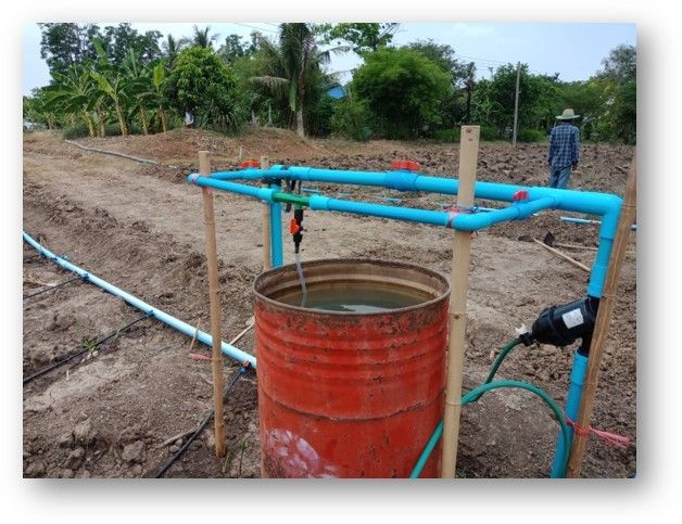 ยกระดับผลผลิตอ้อยในพื้นที่ คทช. ด้วยเทคโนโลยีจากกรมวิชาการเกษตร 7 923058