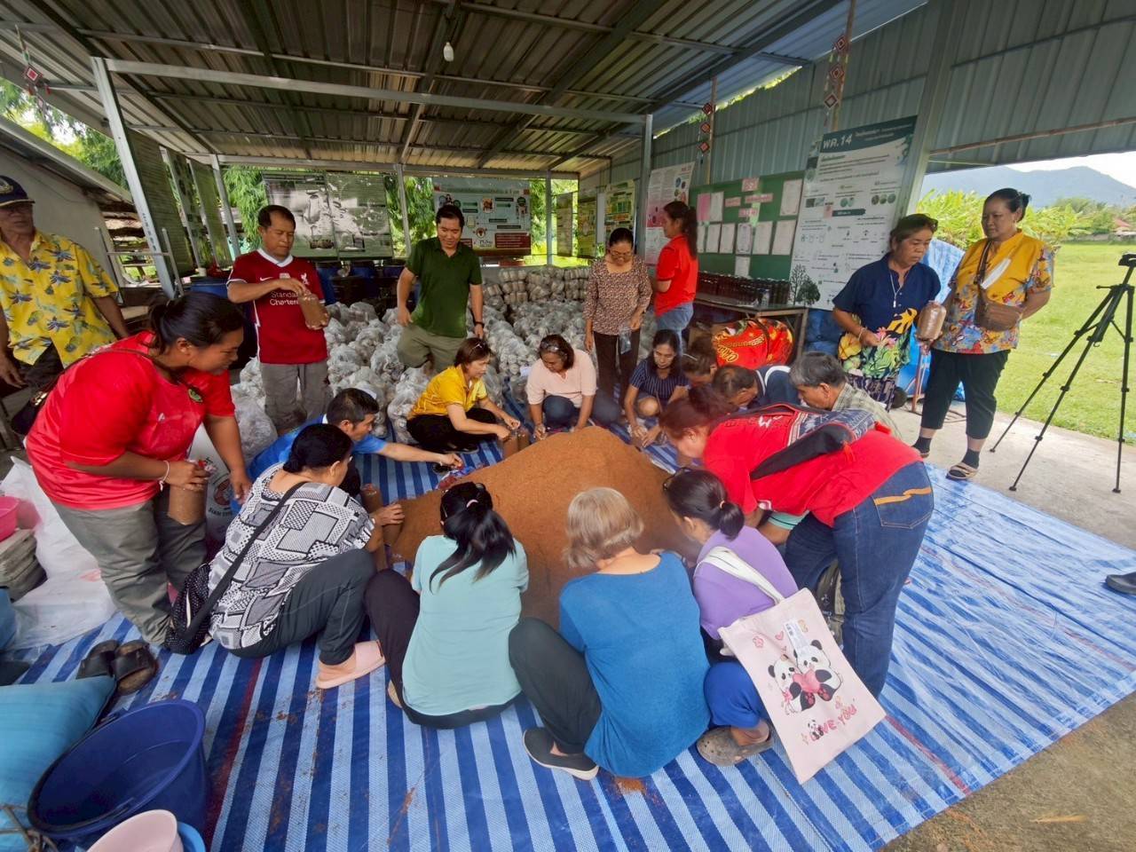 กรมวิชาการเกษตรเดินหน้าอบรมเกษตรกรผลิตเห็ดเศรษฐกิจภายใต้งบเยียวยาน้ำท่วม สอดรับนโยบาย รมว.เกษตร 958039