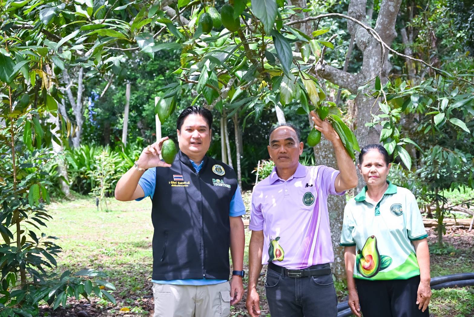 กรมวิชาการเกษตร ยกระดับคุณภาพ“อะโวคาโด มรกตแห่งขุนเขา” ขยายผลการถ่ายทอดเทคโนโลยีการผลิต พร้อมคุมเข้ม การลักลอบนำเข้าอะโวคาโด ตามนโยบายสงครามกับสินค้าเกษตรผิดกฎหมาย 7 960706